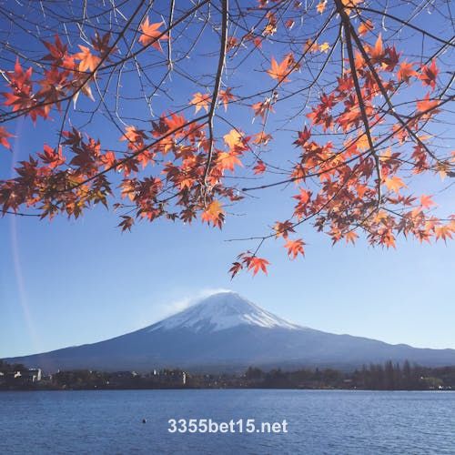 Avatar da jogadora Ananya